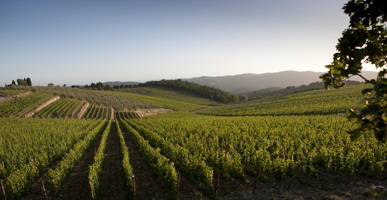Le Suites Di Castello Di Ama Gaiole in Chianti Eksteriør bilde