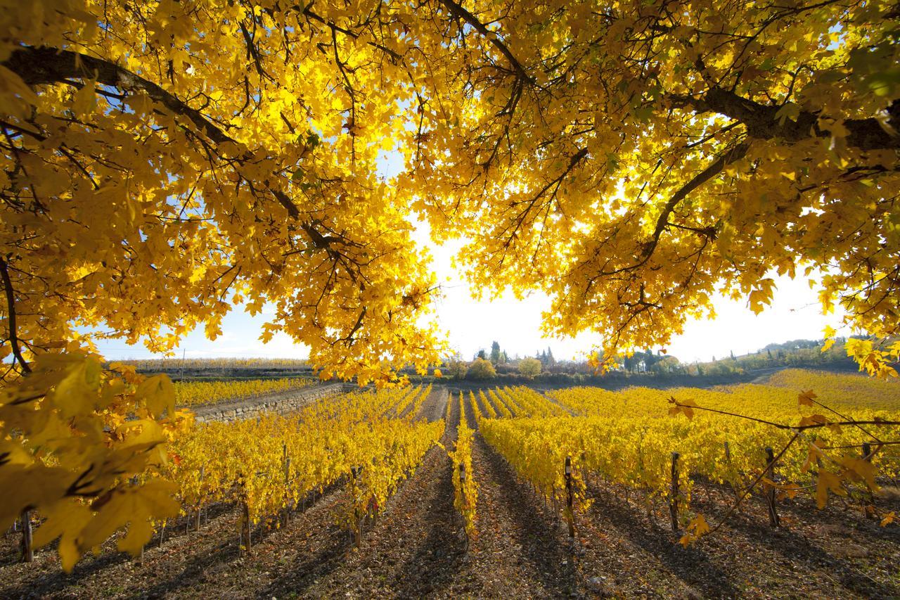 Le Suites Di Castello Di Ama Gaiole in Chianti Eksteriør bilde